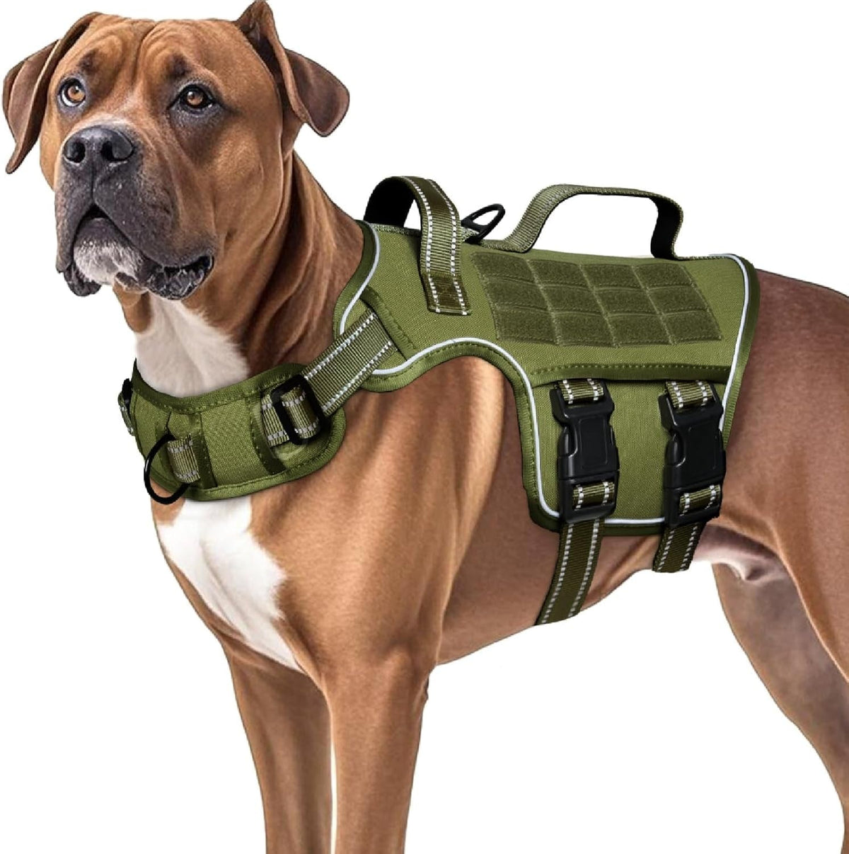 Heavy-Duty MOLLE Tactical Dog Harness, Medium to XL