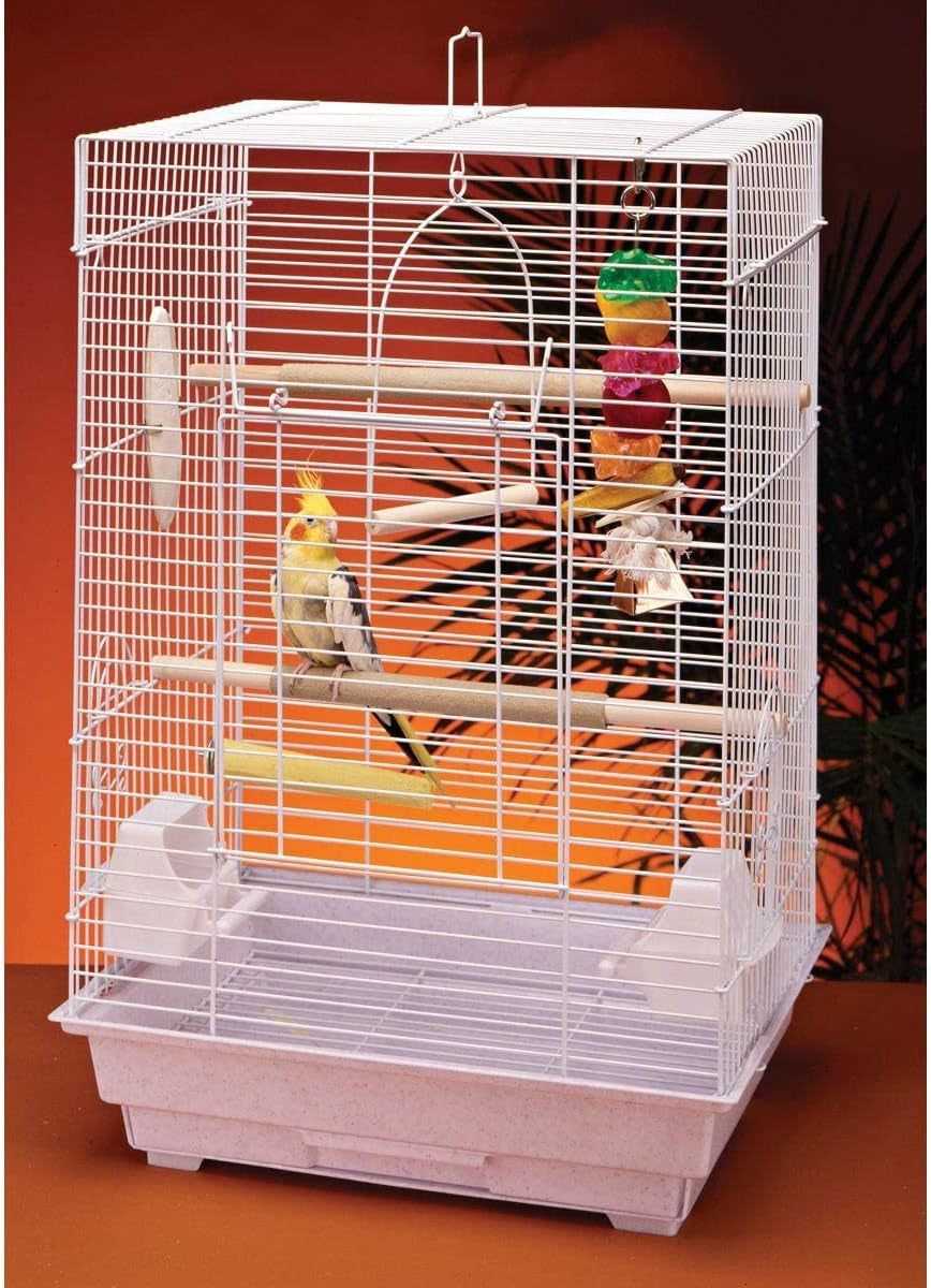 Cockatiel and Small Parrot Cage Starter Kit, White