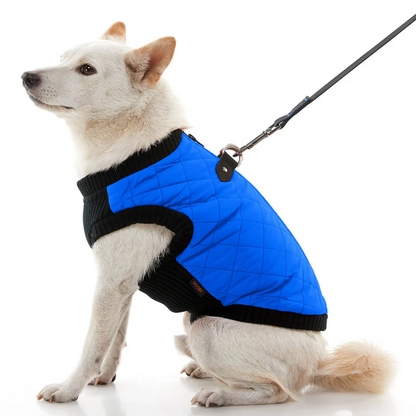 Blue quilted step-in bomber vest for dogs