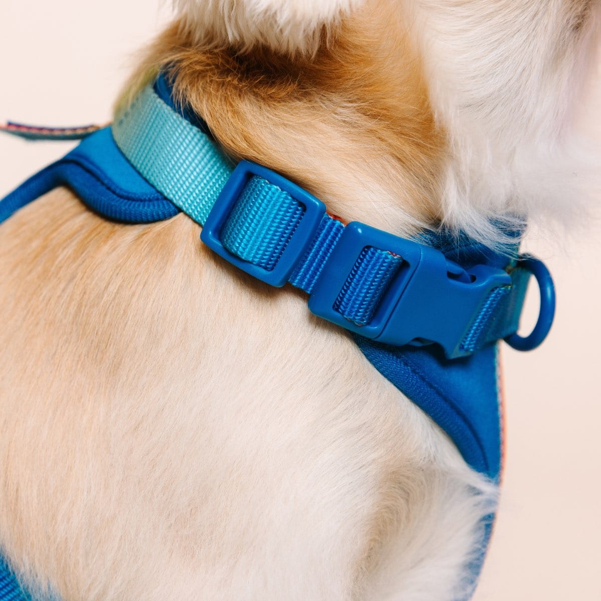 Atlas dog harness — additional photo 8
