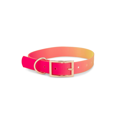 Katelin dog collar — additional photo 2
