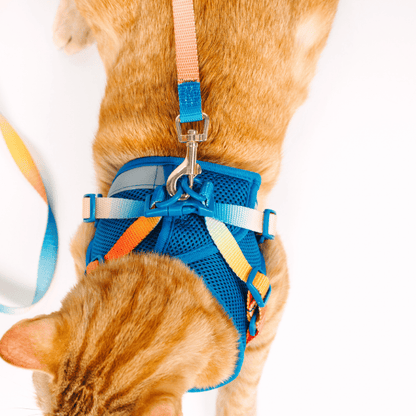 Atlas cat harness and leash set — additional photo 6