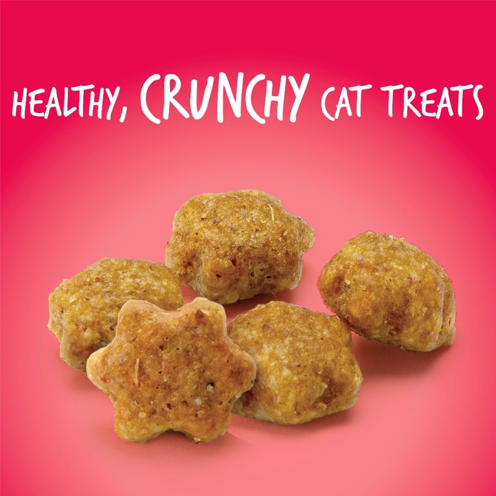 Crunchy Cat Treats Made with Salmon