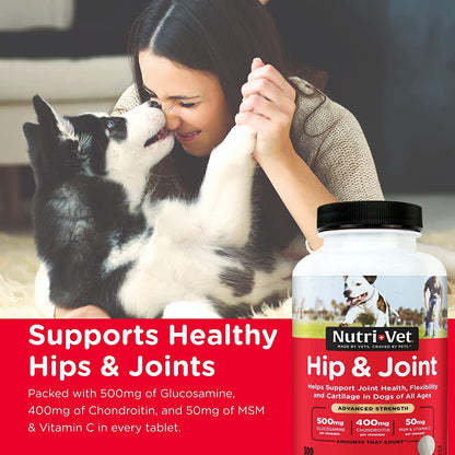Advanced Strength Joint Chews for Dogs
