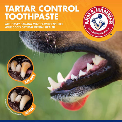 Dental Care Kit for Dogs