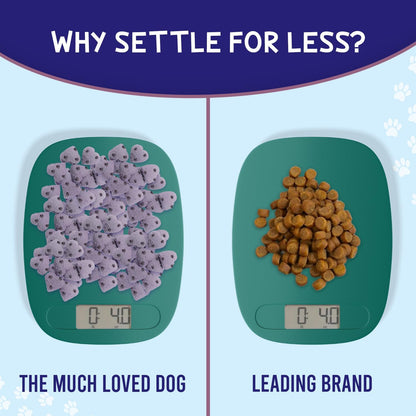 Much Loved Dog Blueberry Burst Treat Set