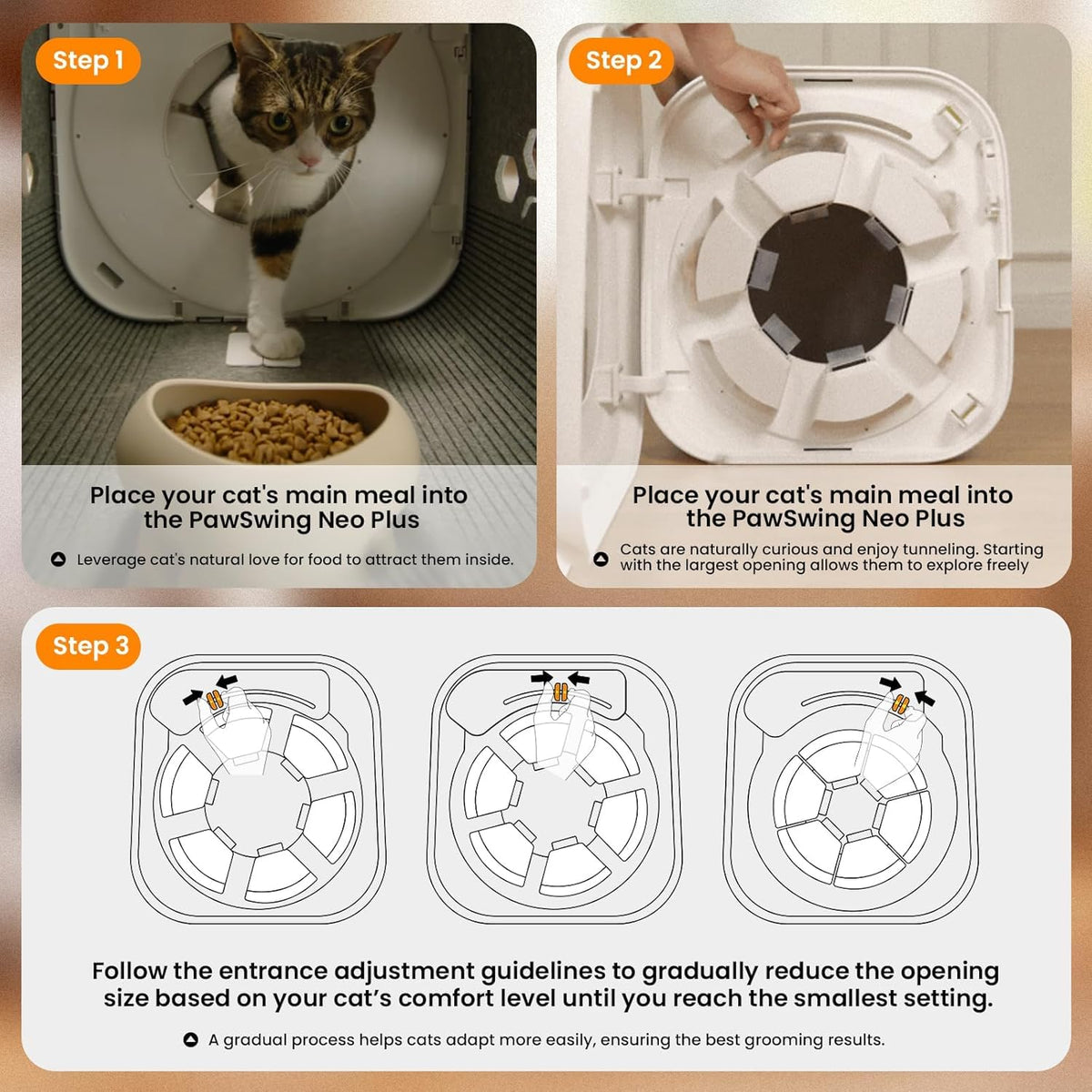 Cat Self Groomer Box with 360 Brush for Large Cats