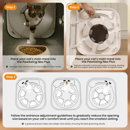 Cat Self Groomer Box with 360 Brush for Large Cats