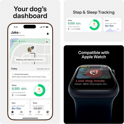Fi Mini GPS Tracker for Dogs Lightweight Waterproof Smart Pet Tracker