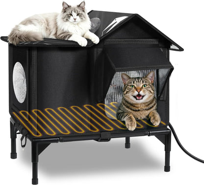 Two cats on and inside heated outdoor cat house with window