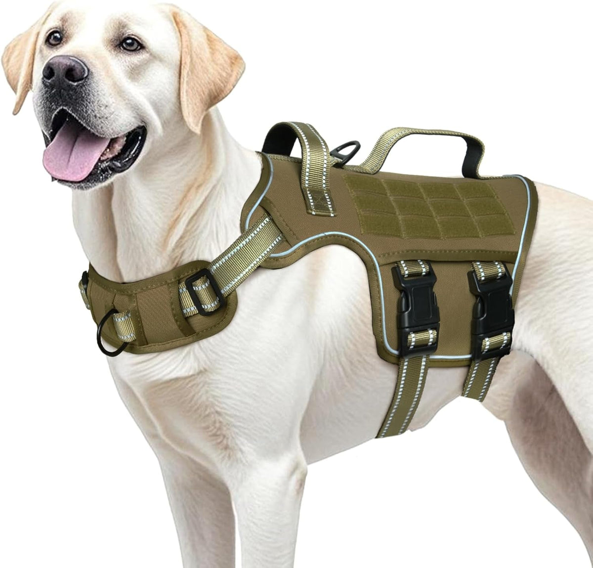 Heavy-Duty MOLLE Tactical Dog Harness, Medium to XL