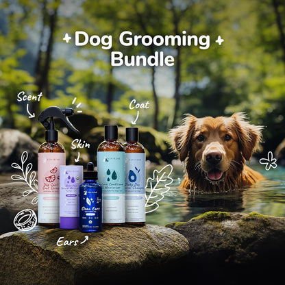 Charcoal Dog Shampoo and Conditioner Grooming Bundle