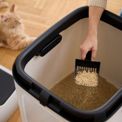 V2H9E79403366D461A36A7C9B607093C10FR7629798P6