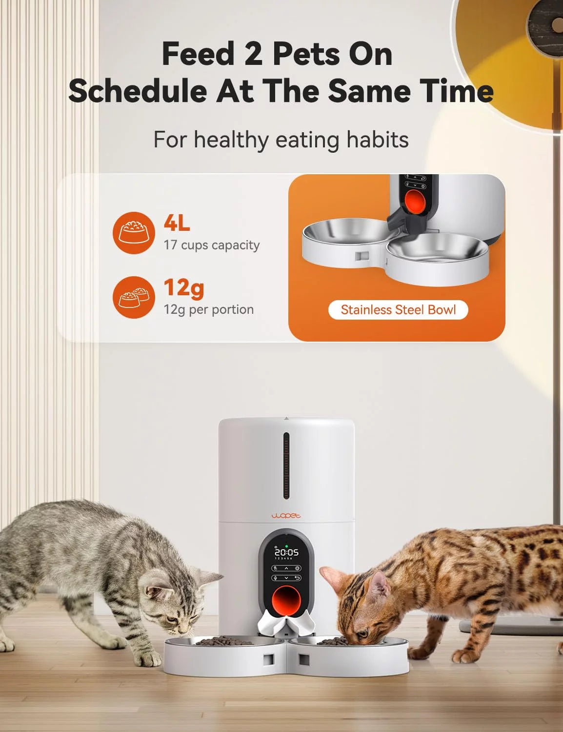 Automatic Pet Feeder for Two Cats or Small Dogs
