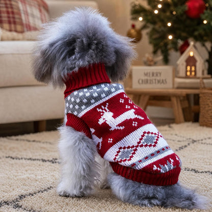 Fluffy small dog in red reindeer Christmas sweater