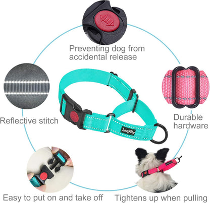 Dog Training Collars with Quick Release, 2 Pack