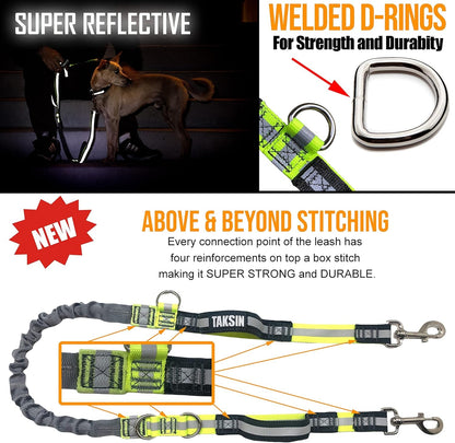 Hands Free Dog Leash Two Dogs Double Bungee Reflective Running Kit