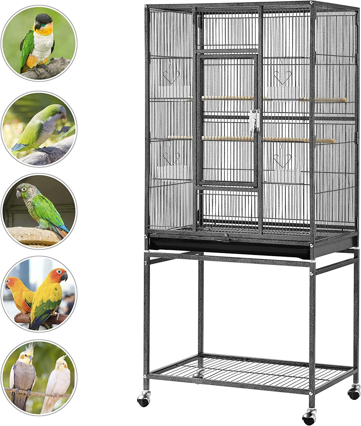 54 in Wrought Iron Play Stand for Large Parrots