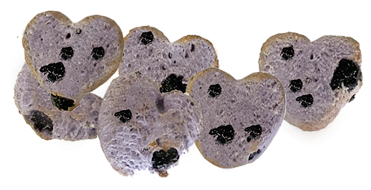 Much Loved Dog Blueberry Treat Set with Canister