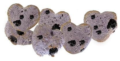 Much Loved Dog Blueberry Treat Set with Canister