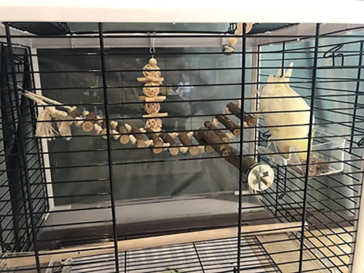 Bird Cage Toy Set, 8 Pack of Climbing and Chew Toys