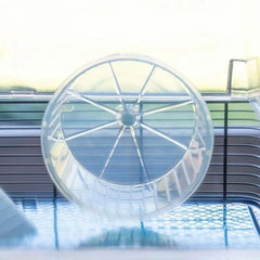 V5H1B15D0795597464CB2B8BE6C427DA79FR5780521P5