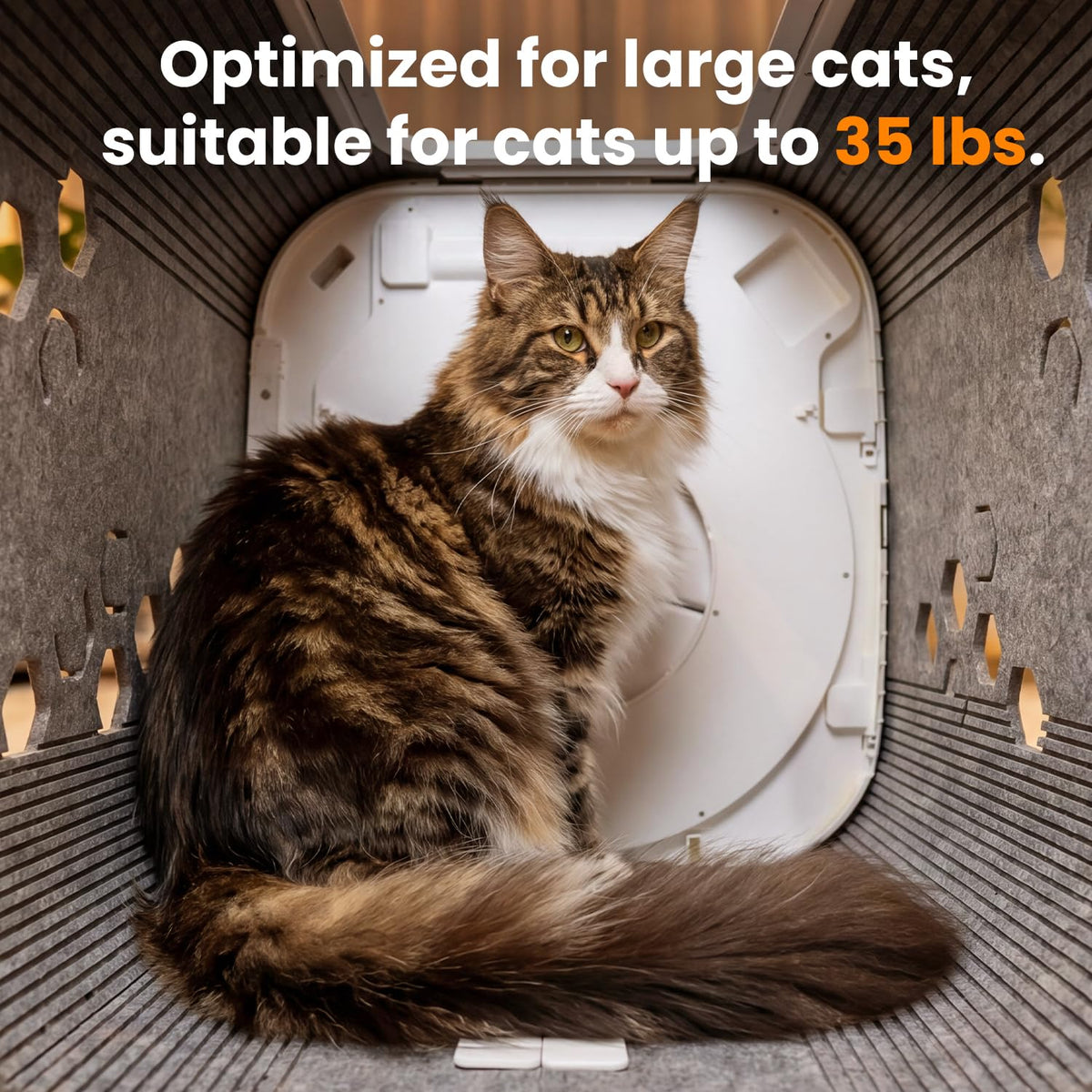 Cat Self Groomer Box with 360 Brush for Large Cats