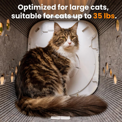 Cat Self Groomer Box with 360 Brush for Large Cats