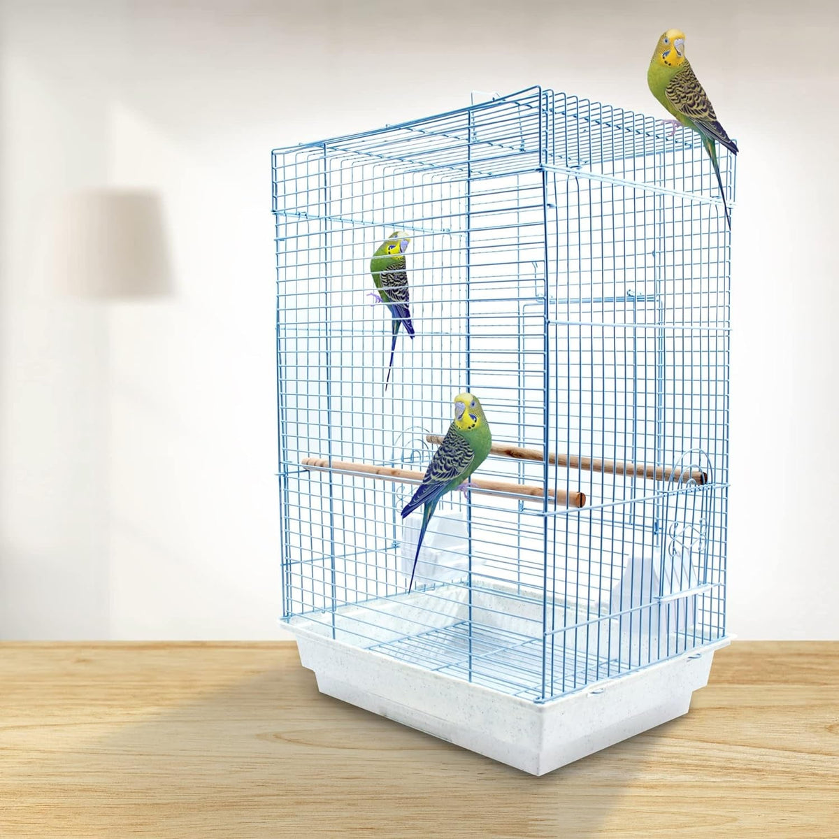 Cockatiel and Small Parrot Cage Starter Kit, White