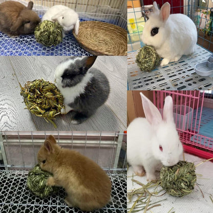 Timothy Grass Chew Balls for Rabbits, Hamsters & Guinea Pigs