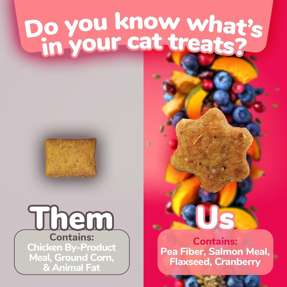 Crunchy Cat Treats Made with Salmon