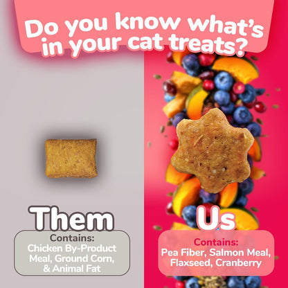 Crunchy Cat Treats Made with Salmon