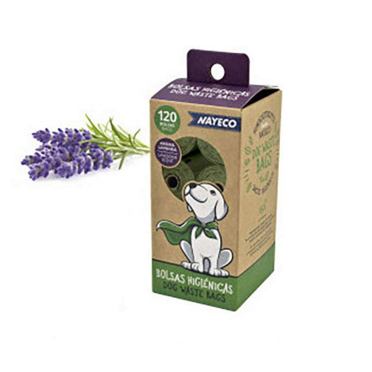 V8H0CACFAF54A7A9D05C86200CA3A5706ACR5157427P1