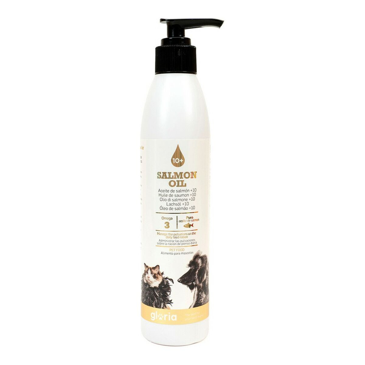 V12H122C979D7672EC3313814D1B54B5C0C5R3725524P1