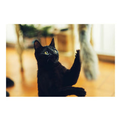 V10H55D4BF7DE337B4525042A3AEF6DF1F1FR4263199P2