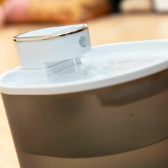 V8HA31493DF9E3267C1986494659F1DAE1BR5279735P2