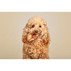 V10HC44D046A0F88FC248D1DA182F6852F9AR6578024P2