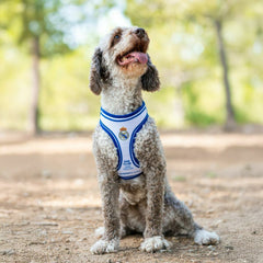 V2H7E1E28EB890B114155A40562F8793319R7186618P3