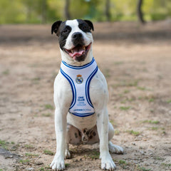 V4HDF1D0A9591A663EA77BF69ECCBEF5C73R7187305P3