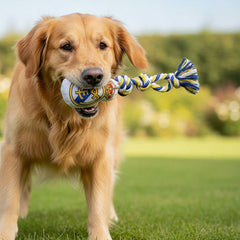 V2HC742CC70F3FB346A7D8123742FB714DCR7187330P5