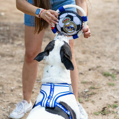 V2HF060AF440EEF430ED6DBA4AC614041DDR7021654P3