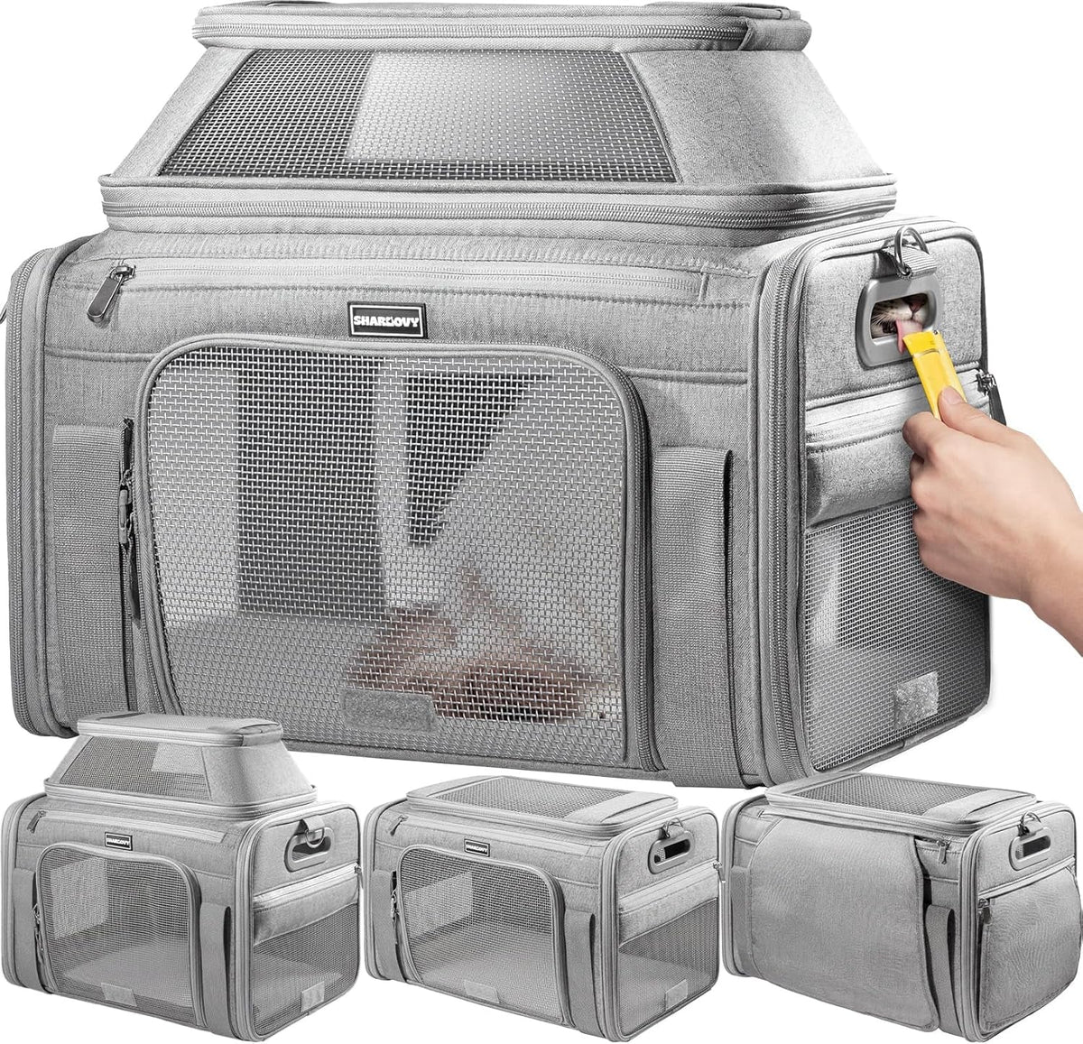 Expandable Airline-Approved Soft Pet Carrier