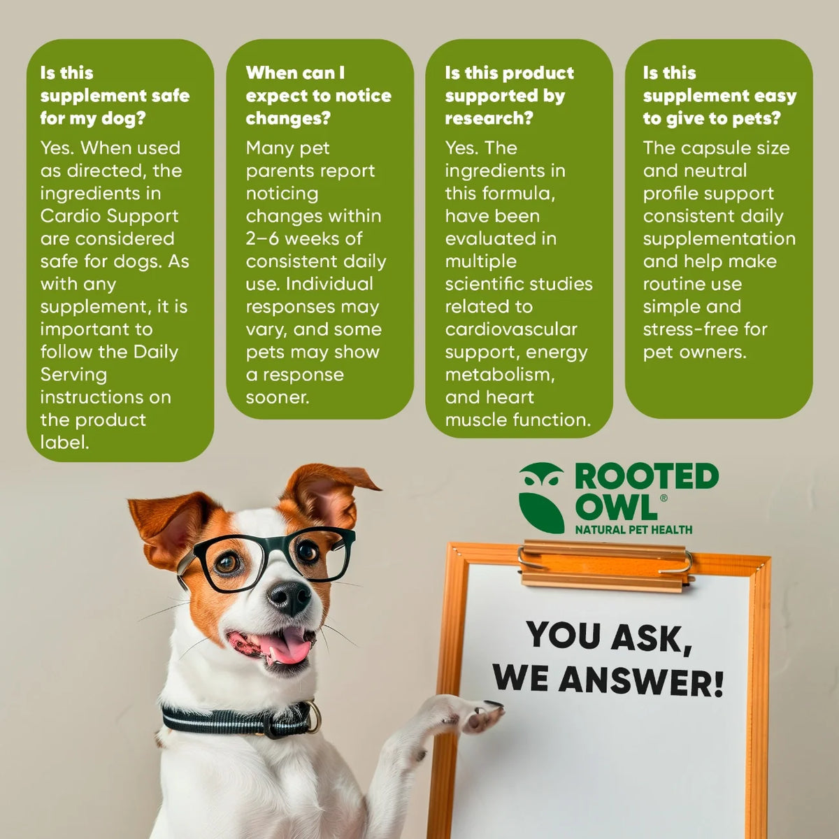 L-Carnitine & L-Taurine Supplement for Dogs