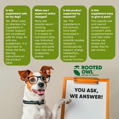 L-Carnitine & L-Taurine Supplement for Dogs