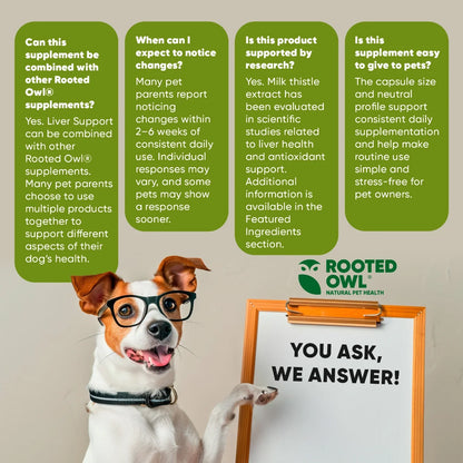 Milk Thistle Extract Supplement for Dogs