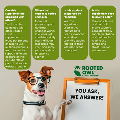 Spirulina & Chlorella Supplement for Dogs and Cats