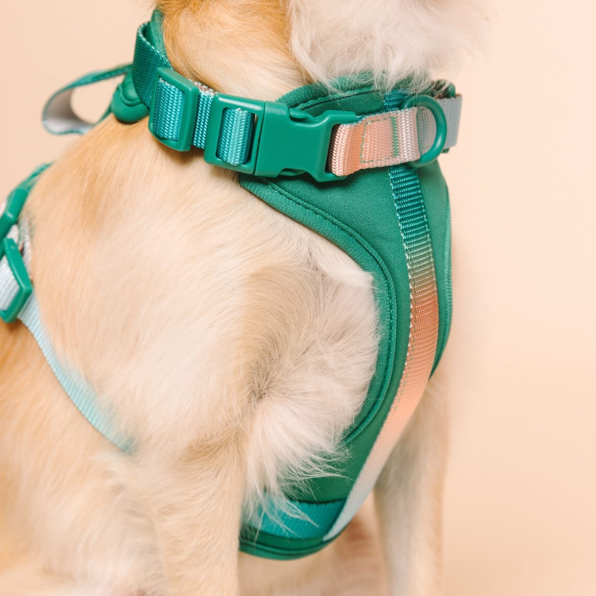 Parker dog harness — additional photo 4