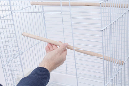 Cockatiel and Small Parrot Cage Starter Kit, White