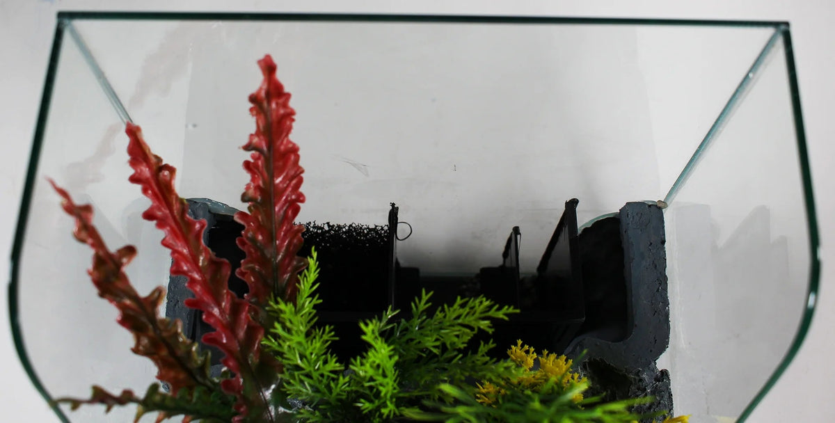 1.85 Gallon Glass Aqua Terrarium Planting Tank