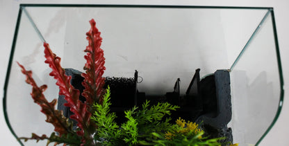 1.85 Gallon Glass Aqua Terrarium Planting Tank